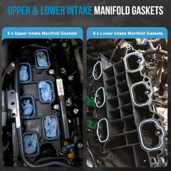 Engine Oil Cooler With Oil Filter Housing Adapter comes with a new pre-installed oil filter. It can keep the engine oil cool and clean, allowing the car to accelerate faster and helping to extend the life of the oil and engine.